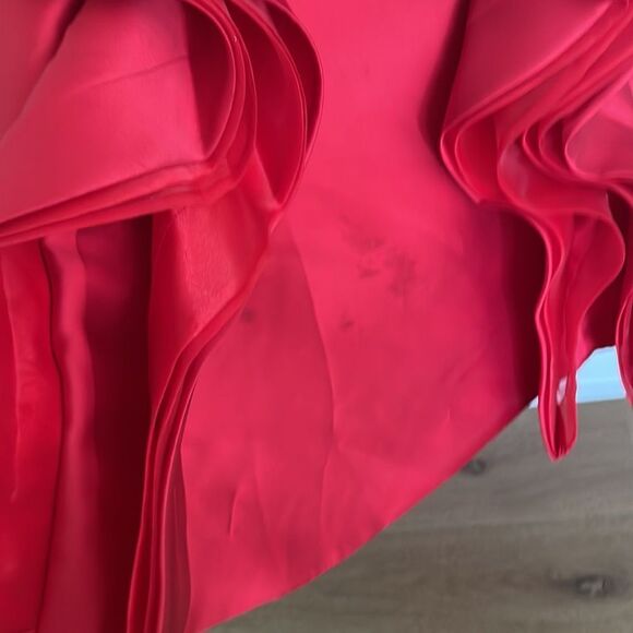 Rachel Allan Sleeveless Ruffle Gown Evening Dress - Picture 4 of 8